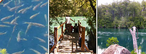 Pesca en Esquel, Chubut