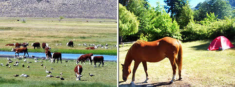 Turismo en Esquel