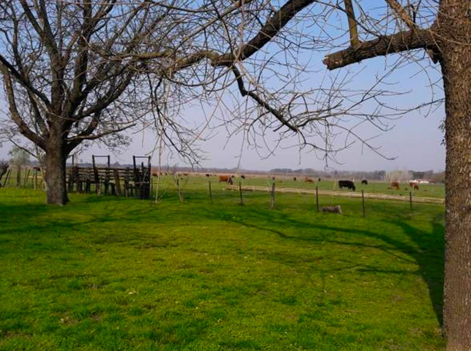 Turismo Rural en Exaltacin de la Cruz - Imagen: Argentinaturismo.com.ar