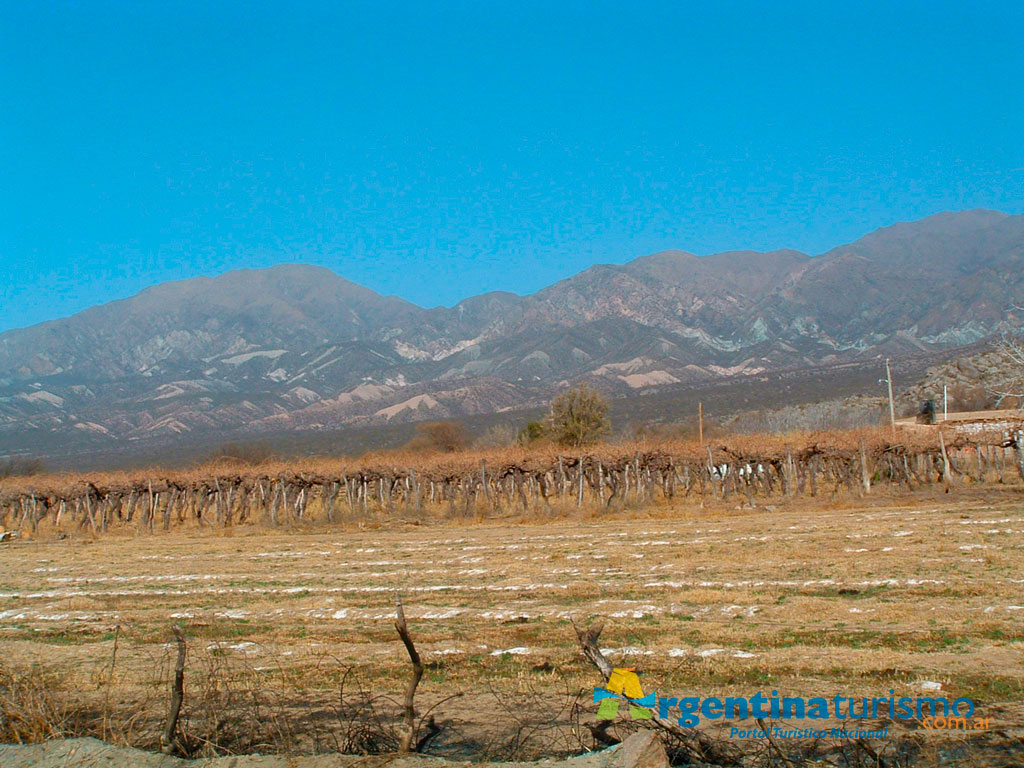 Caminos del Vino de Famatina - Imagen: Argentinaturismo.com.ar