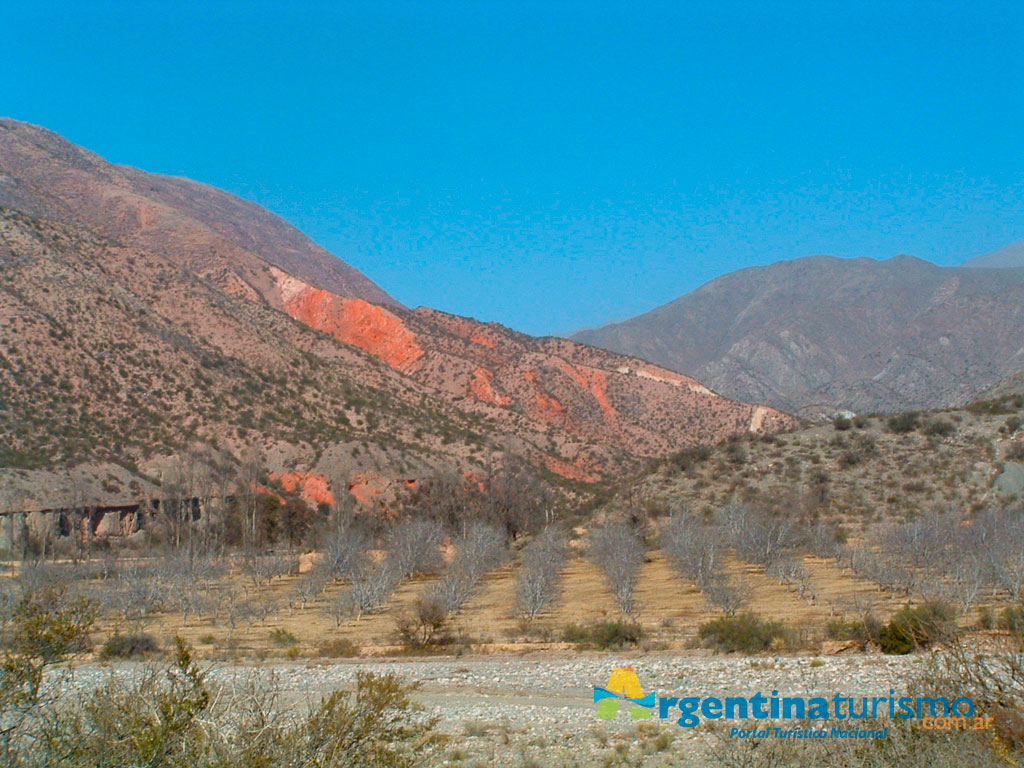 Caminos del Vino de Famatina - Imagen: Argentinaturismo.com.ar