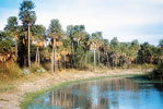 Parque Nacional Ro Pilcomayo