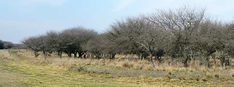 Turismo Rural en General Acha La Pampa