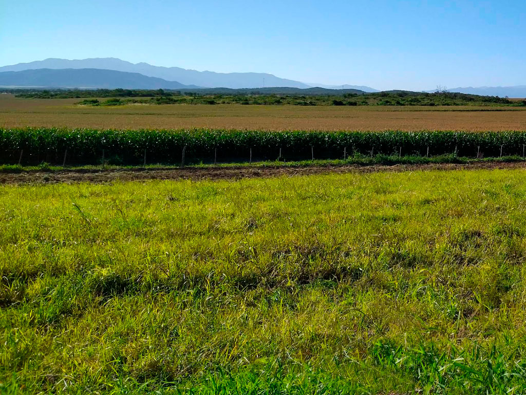 Circuito Turstico Sur de General Guemes - Imagen: Argentinaturismo.com.ar