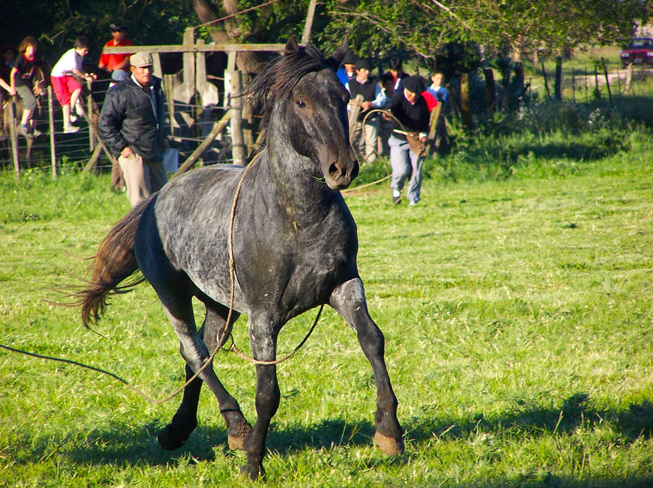 Turismo Rural en General Lamadrid