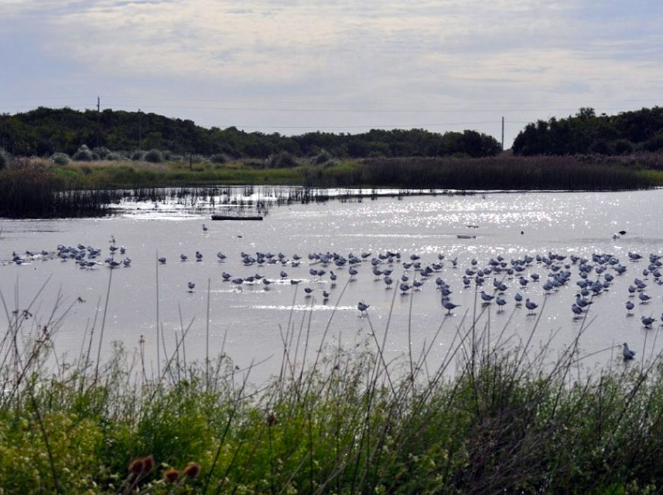 Pesca Deportiva en General Madariaga