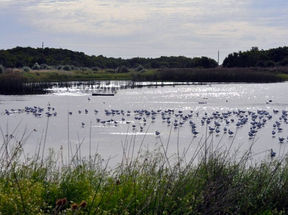 Pesca Deportiva en General Madariaga