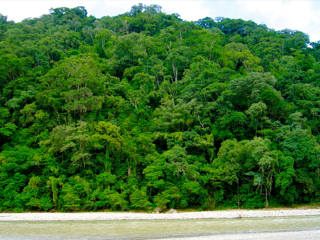 Circuito Turstico de General Mosconi