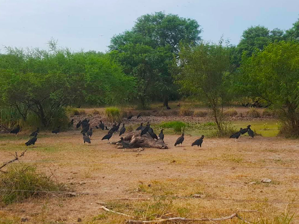 Turismo Rural en General San Mart�n