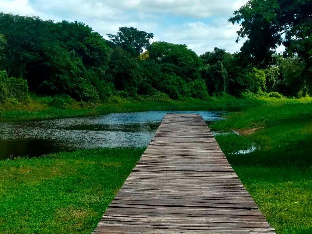 Turismo Activo en General Vedia