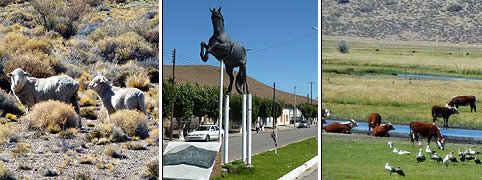 Turismo en Gobernador Costa Chubut