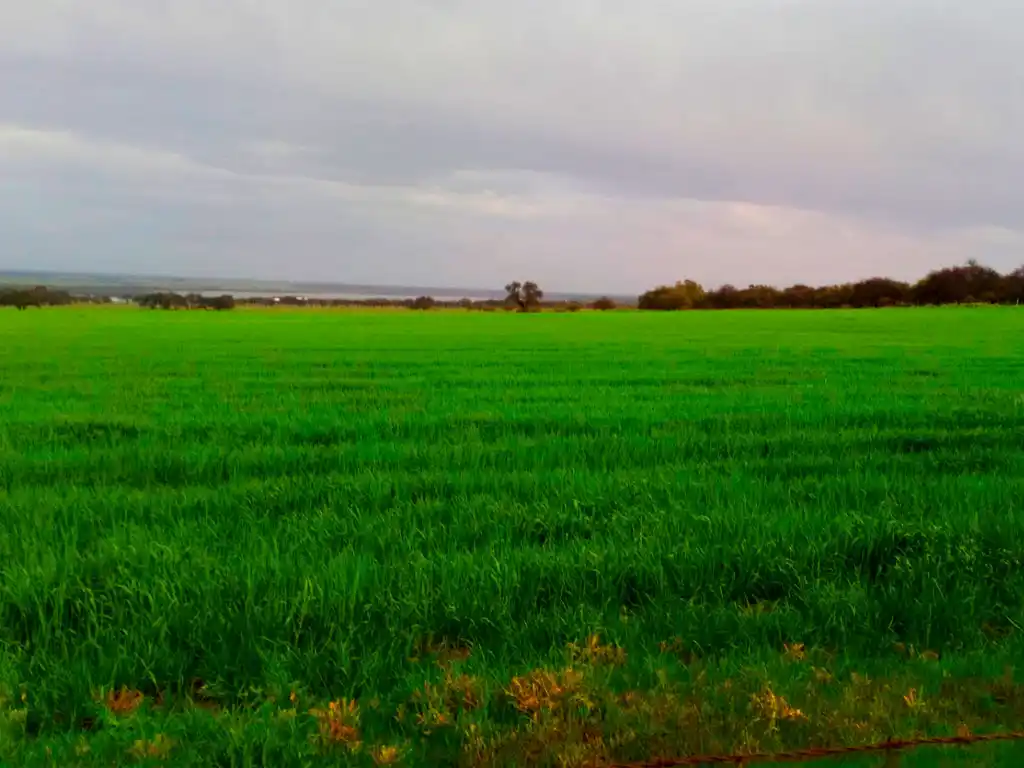 Turismo Activo de Guatrache - Imagen: Argentinaturismo.com.ar