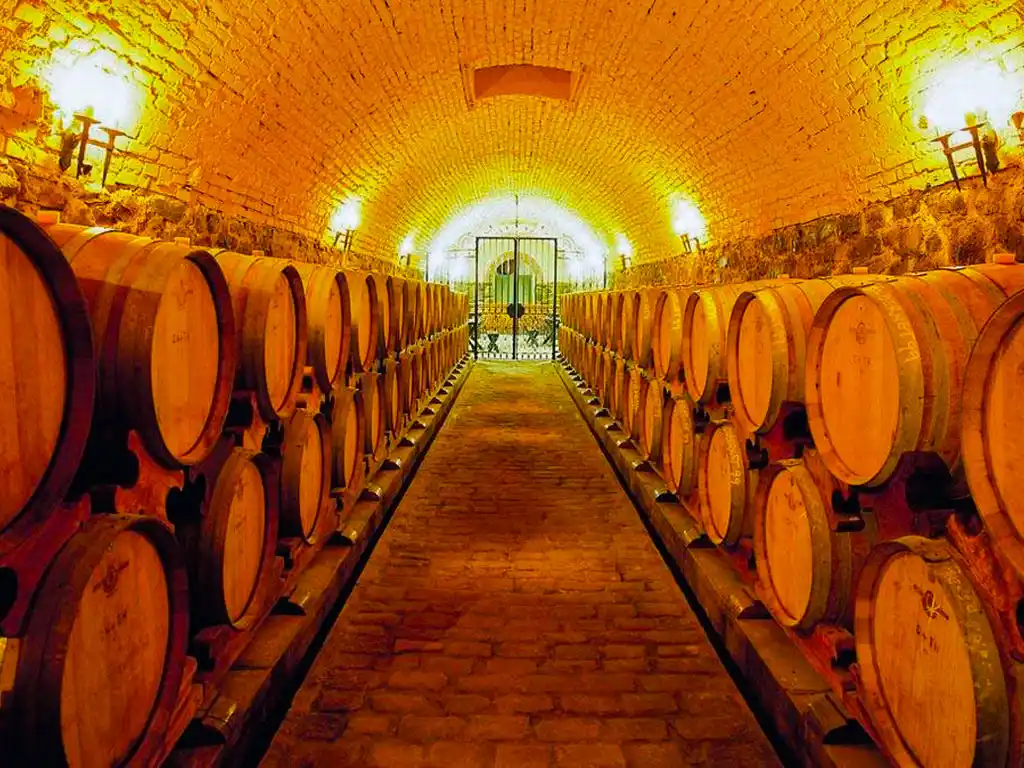 Bodegas de Guaymall�n - Imagen: Argentinaturismo.com.ar
