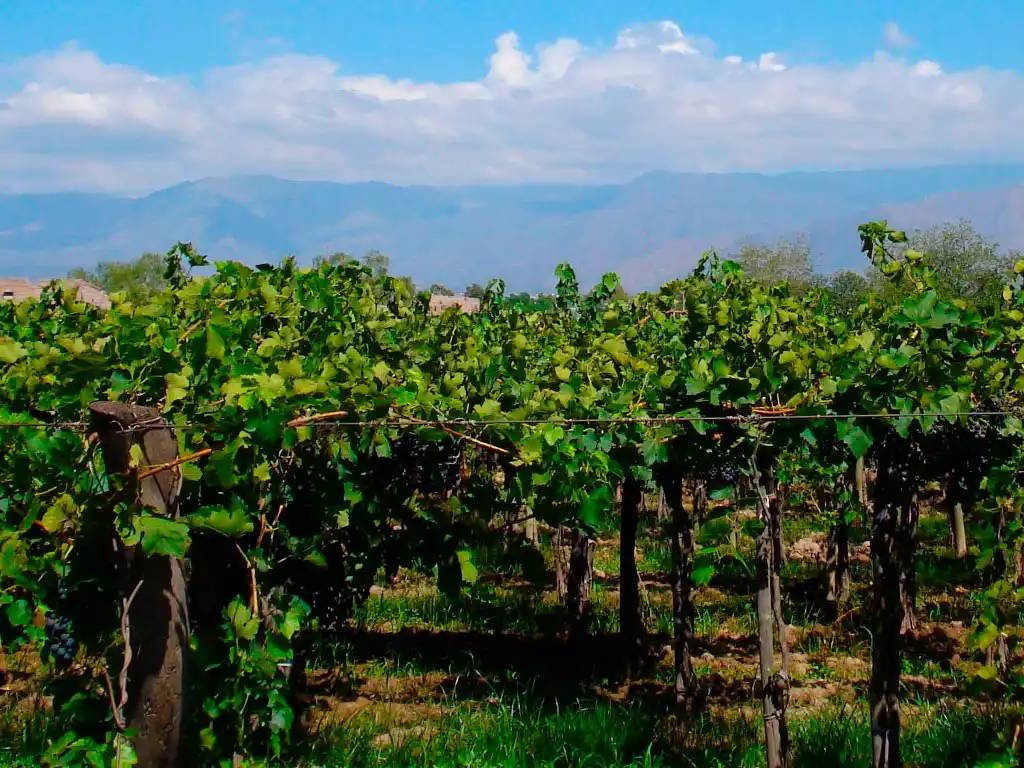 Turismo Rural de Guaymall�n - Imagen: Argentinaturismo.com.ar