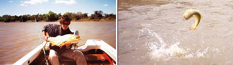 Pesca en Hernandarias Entre Rios