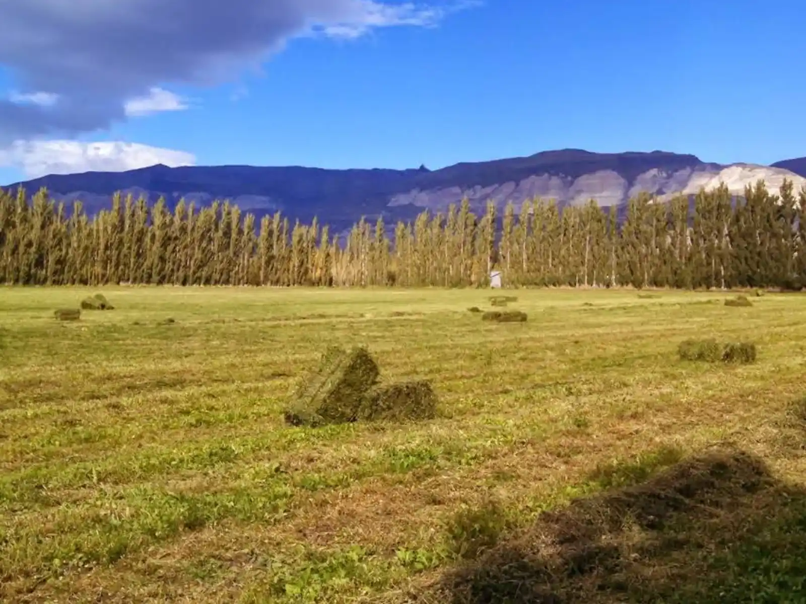 Otra vista de Turismo Rural en Hipolito Yrigoyen