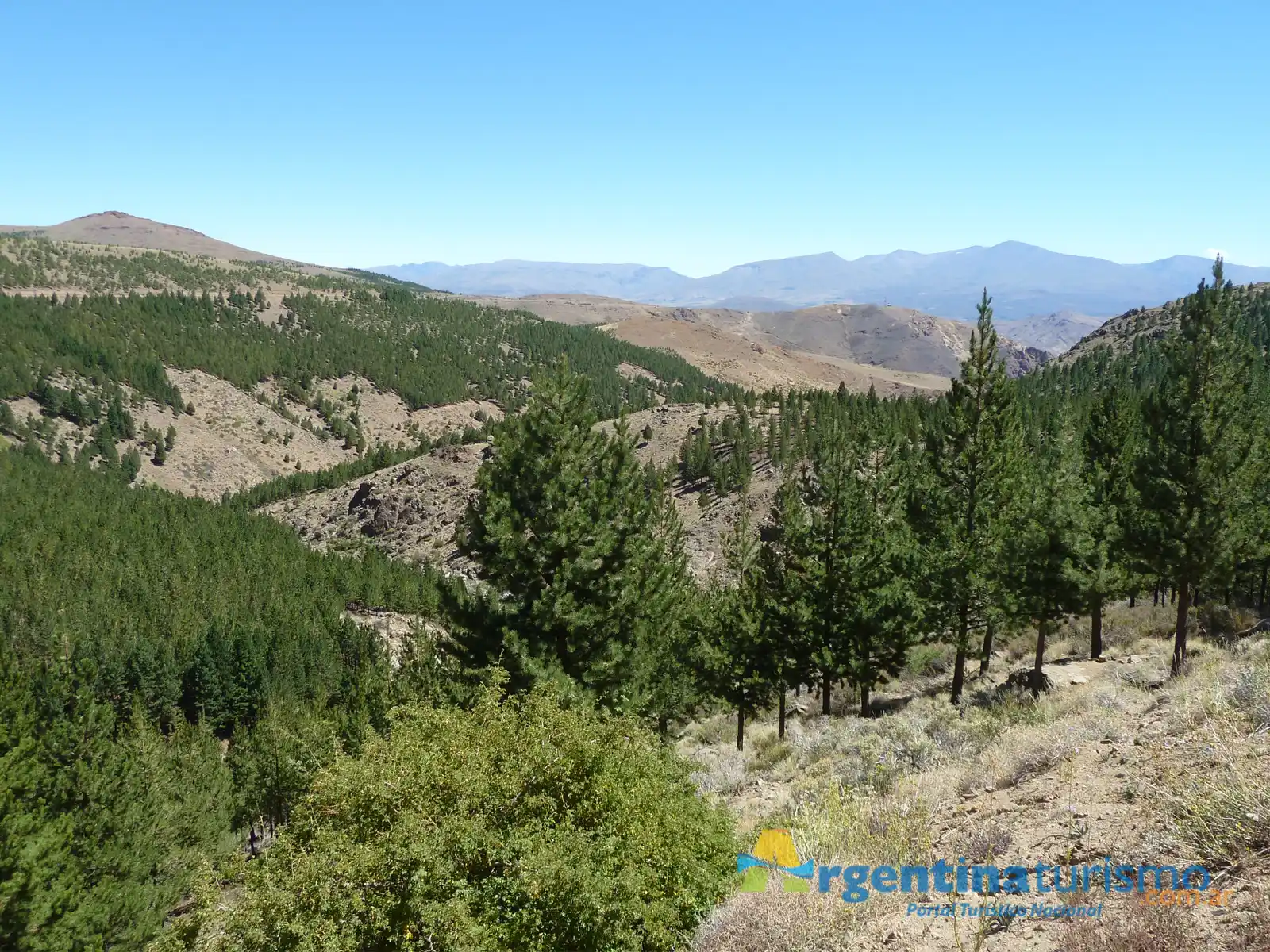 Ruta Provincial 39 en Huinganco