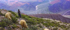 Turismo Aventura en Humahuaca