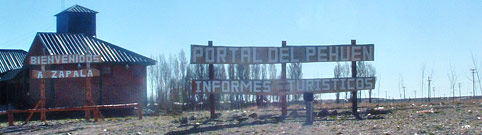 portal del pehuen