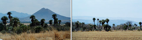 reserva natural chancani