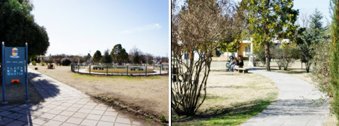plaza san martin de la carlota