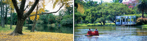 bosques de palermo