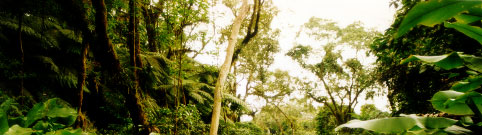 parque nacional baritu