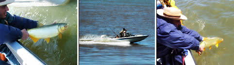 Pesca Isla del Cerrito Chaco