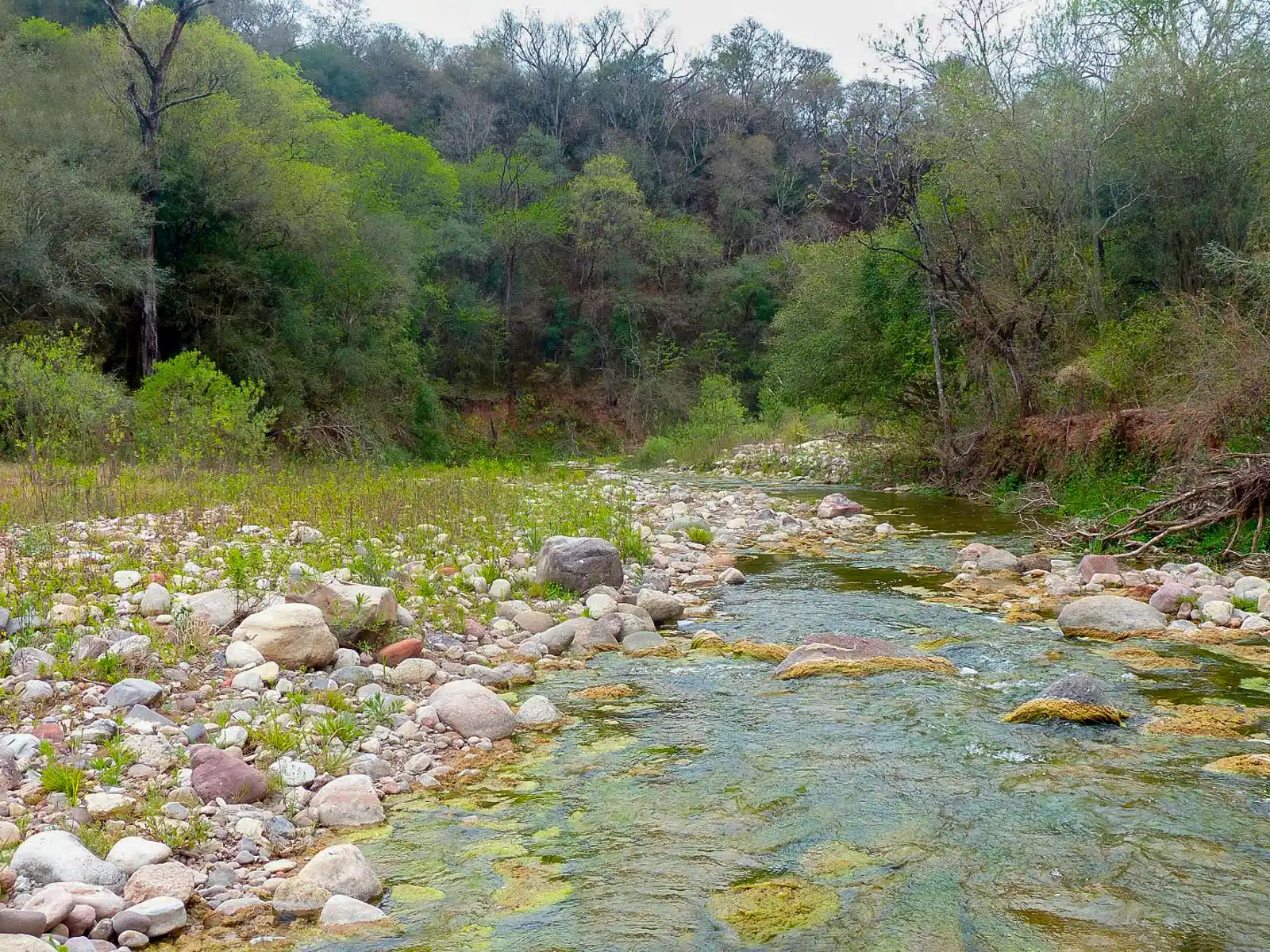 Otra vista de Parque Nacional El Rey en Joaquín V. González