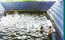 Termas de Aguas Calientes