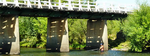 Pesca en los Andes Neuquen