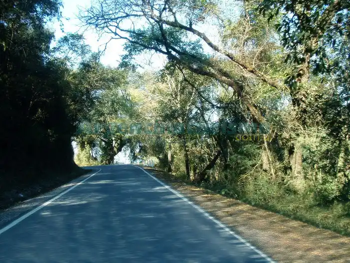 Foto de La Caldera
