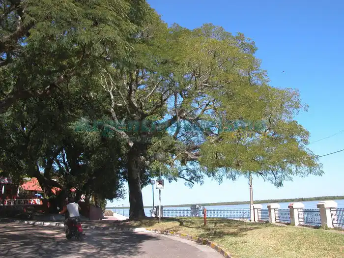 Foto de La Paz