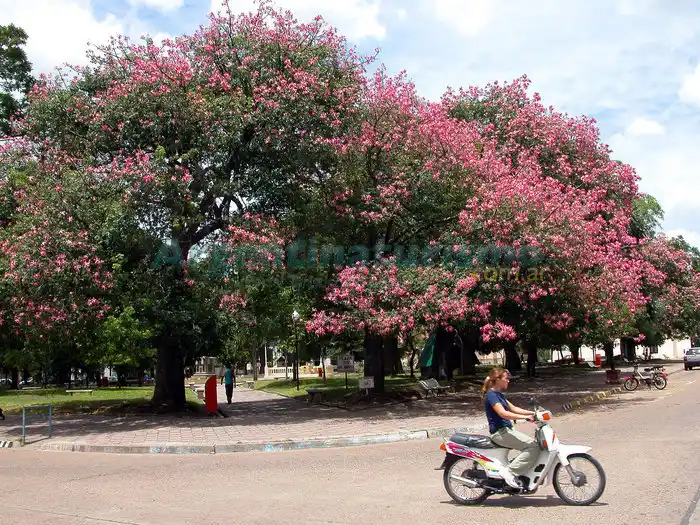 Foto de La Paz