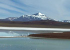 Reserva Provincial Laguna Brava