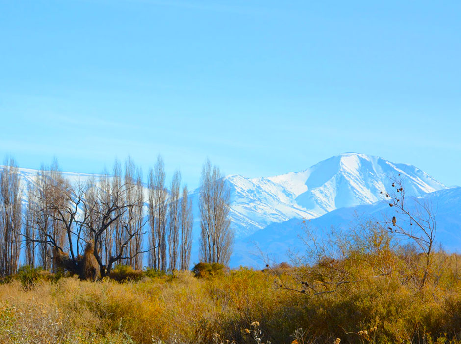 La Ciudad de Las Flores - Imagen: Argentinaturismo.com.ar