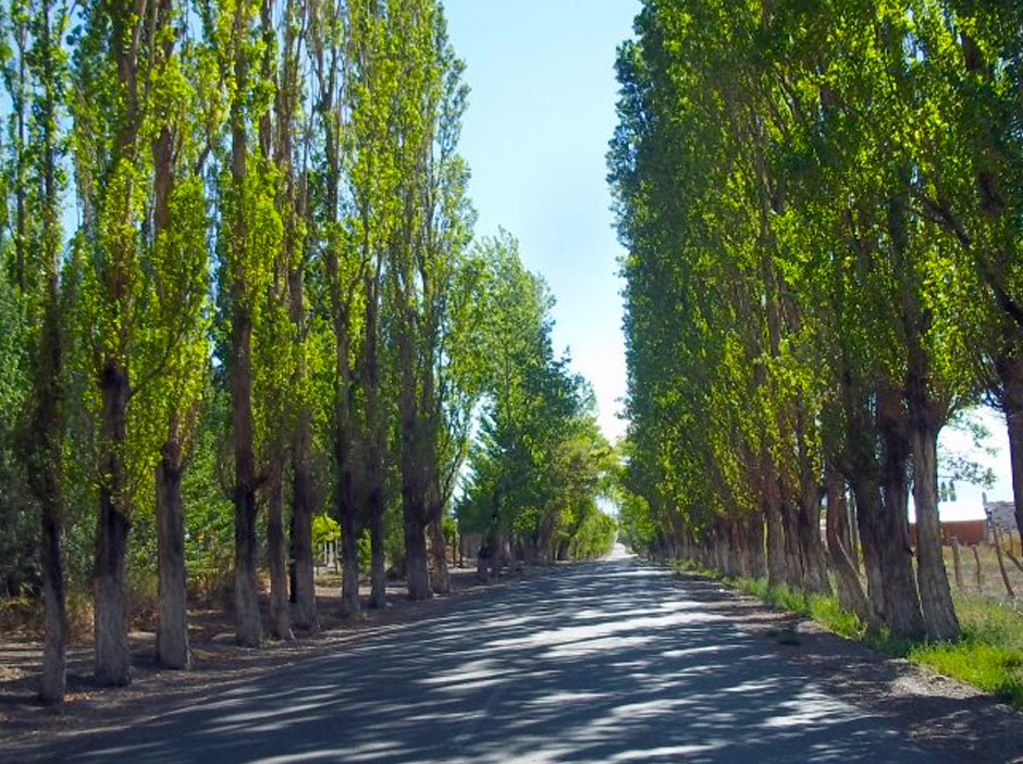 Turismo Activo en Las Flores - Imagen: Argentinaturismo.com.ar