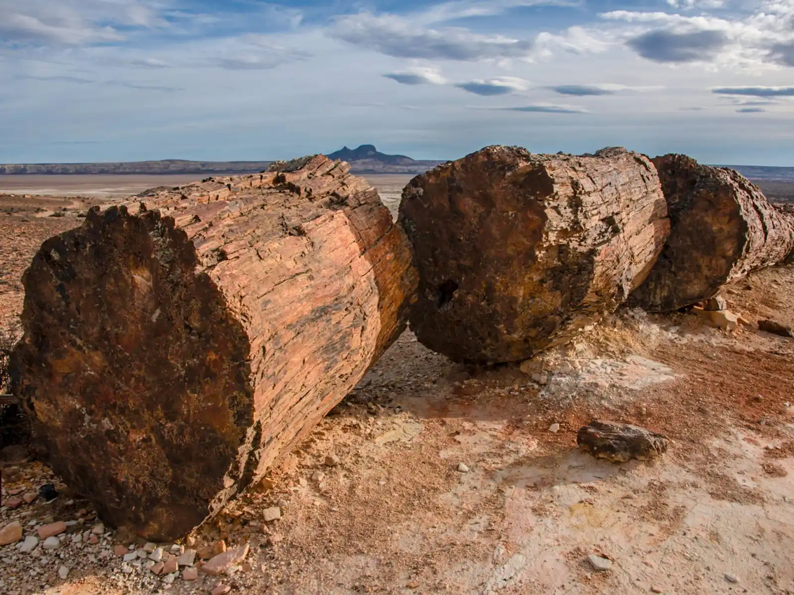 Bosque petrificado de Las Heras, Santa Cruz