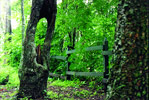 Parque Nacional Calilegua en Libertador San Martn