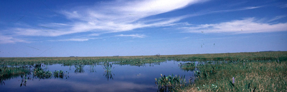 Corrientes