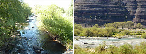 Turismo Rural en Loncopue, Neuquen