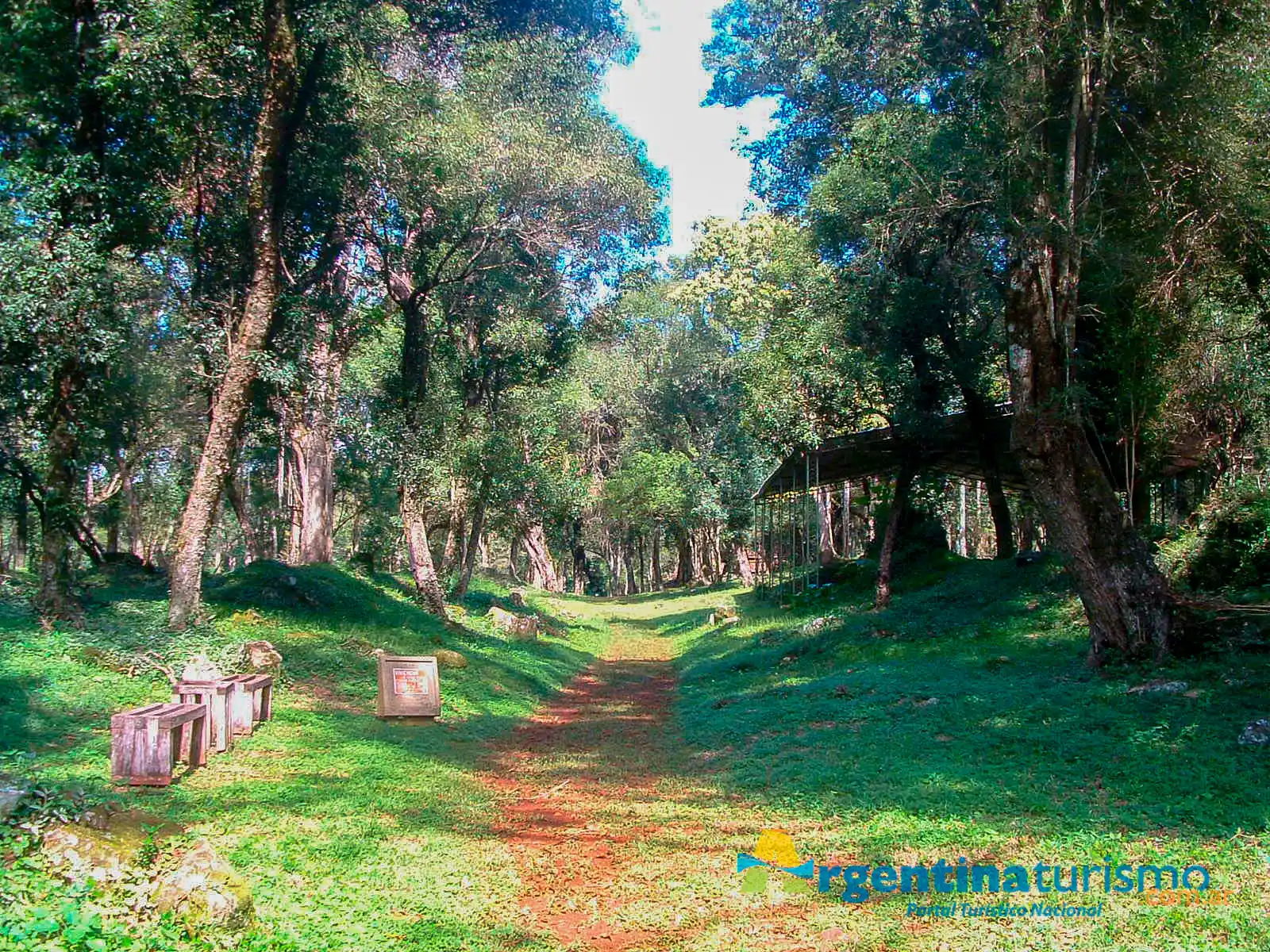 Imagen relacionada a Turismo Activo en Loreto