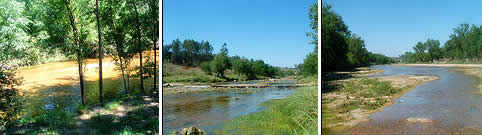 Playas Los Reartes Cordoba