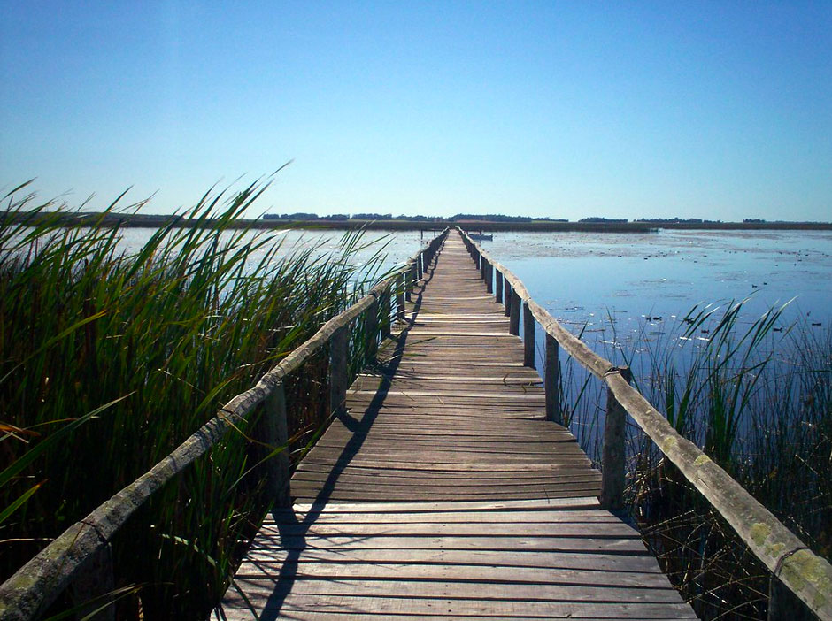 Pesca Deportiva en Maip - Imagen: Argentinaturismo.com.ar