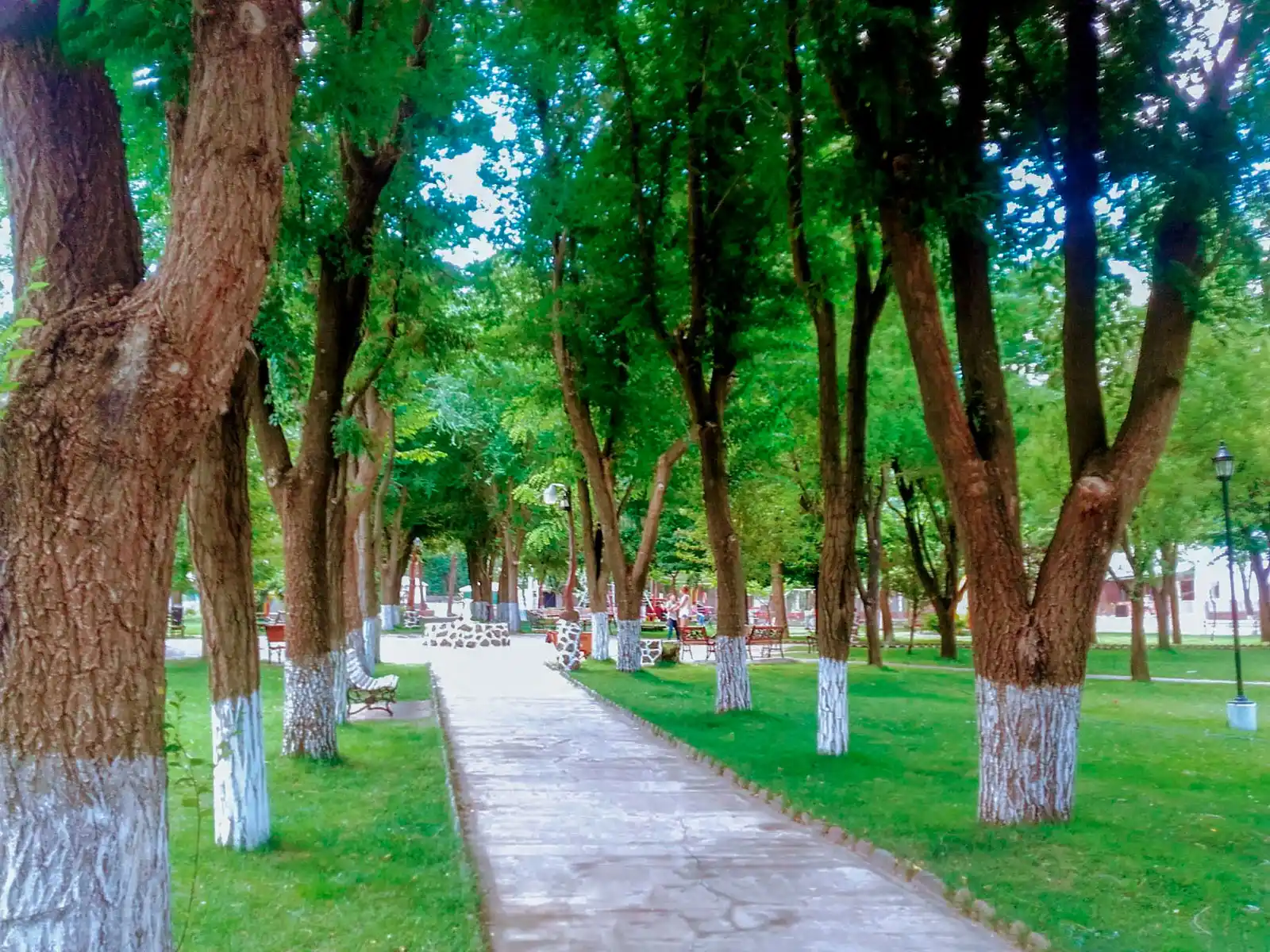 Imagen relacionada a La Ciudad de Manzano Amargo