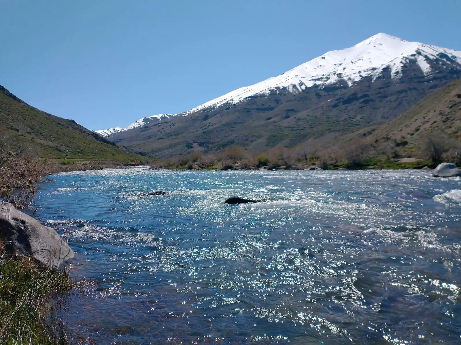 Otra vista de  Manzano Amargo