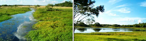 Parque Nacional Mburucuya Corrientes