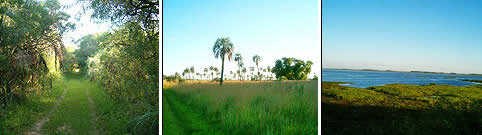 Parque Nacional Mburucuya Corrientes