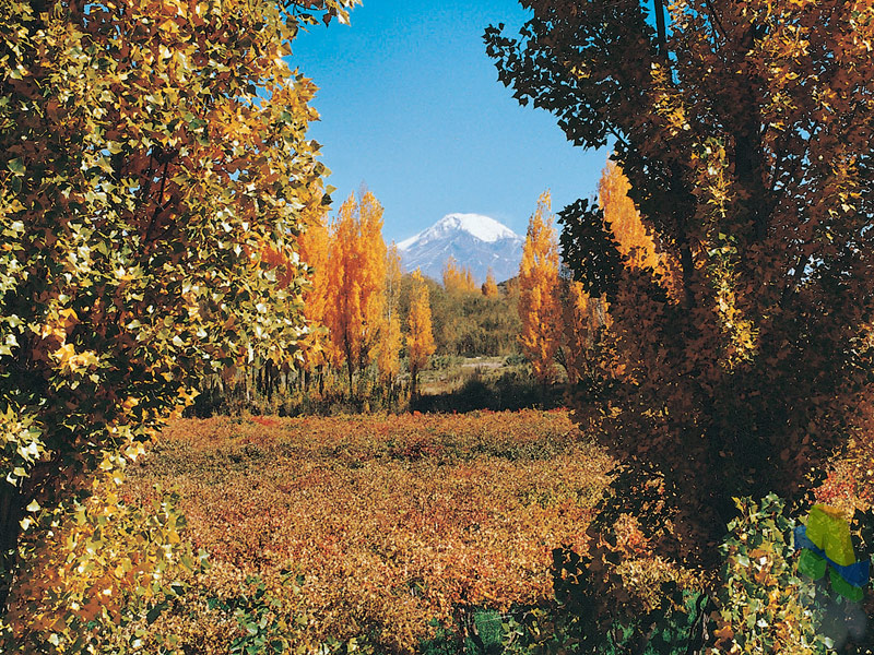 Tupungato - Imagen: Turismoentrerios.com