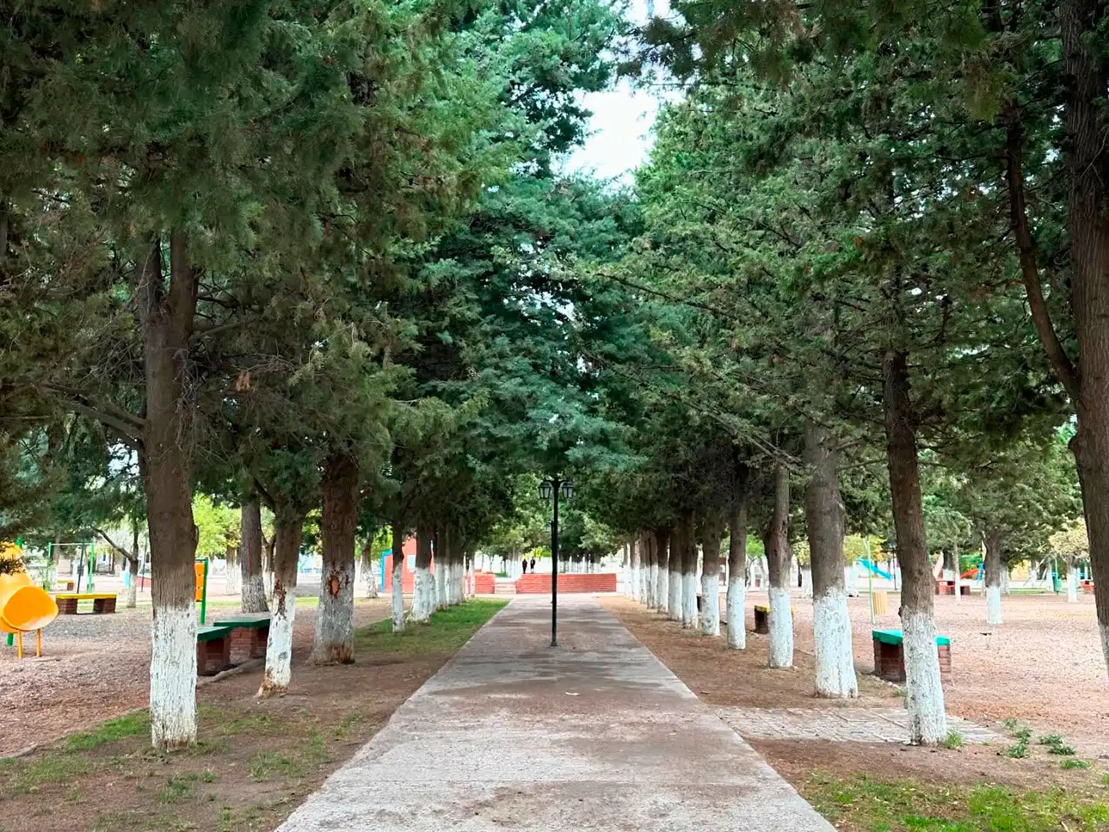 Ruta de acceso a Ministro Ramos Mexía, Río Negro